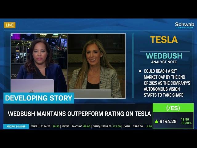 Dan Ives TSLA Price Target Hike & Macy's (M) Upgrade