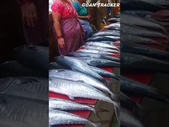 Fish in Goan Market