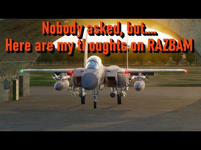 DCS F-15E - Thoughts on the Razbam Thingy