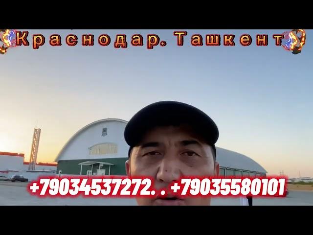 Краснодар. Ташкент автобус#Краснодар хоразм автобус Краснодар Торткол автобус Краснодар кырым￼￼