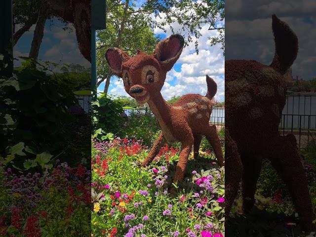 My Favorite Topiaries at Epcot International Flower & Garden Festival #disney