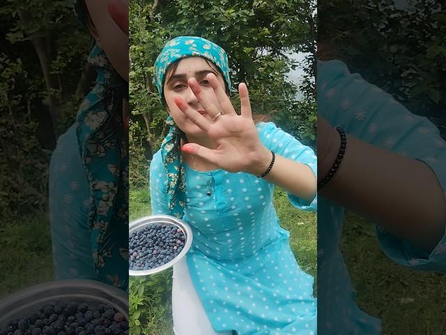 दादी की देसी lipstick|| what is the local name of this berry🫐 #minivlog #village #dailylifestyle