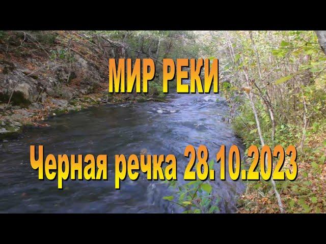 Мир реки Черной на закате октября. 28.10.2023