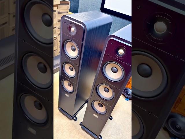 Polk all edition available 9495392859