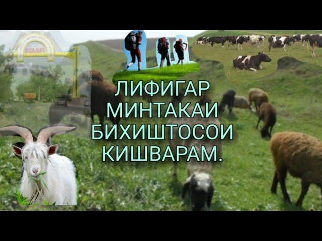 Дехаи хурдтарини Чумхурии Точикистон Лифигар.