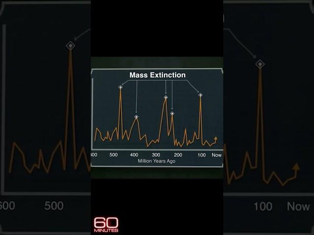 Stanford biologist says we’re now living through sixth mass extinction #Shorts #60Minutes