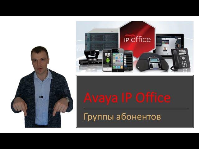 мини АТС Avaya IP Office группы абонентов. Типы и очереди.