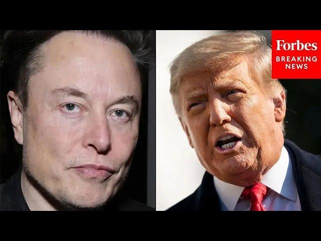 'Elon Is Right Now In Pennsylvania': Trump Praises Musk For Barnstorming PA To Garner Support