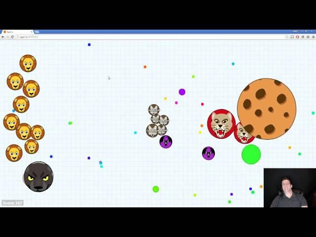 Heath Haskins Live Stream