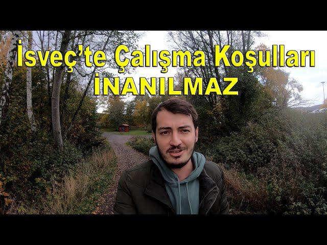 İsveç'te İnanılmaz Çalışma Koşulları