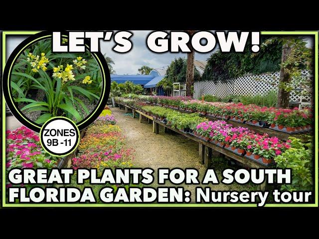 GARDEN NURSERY TOUR: Best Plants for South Florida Gardens