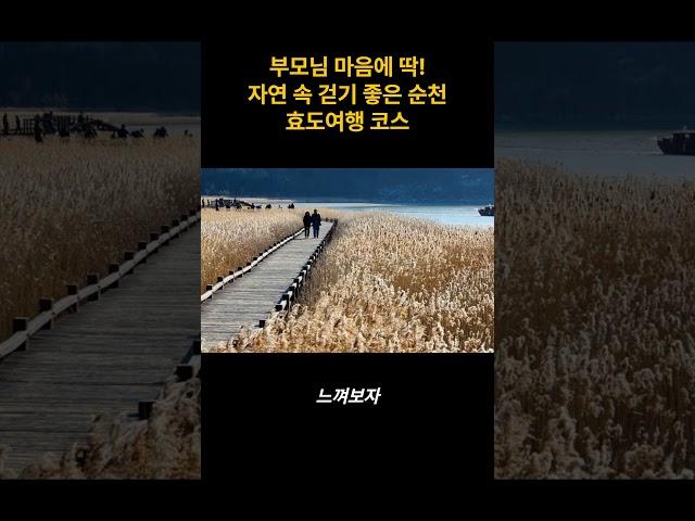 부모님 마음에 딱! 자연 속 걷기 좋은 순천 효도여행 코스