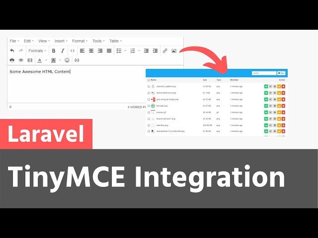 TinyMCE integration with Laravel Simple Filemanager