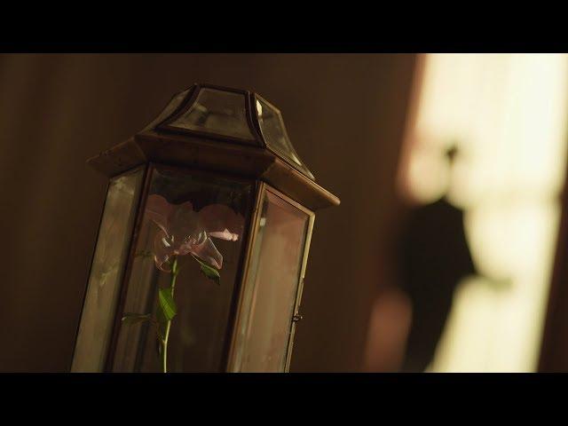 BTS (방탄소년단) 'FAKE LOVE' Official MV (Extended ver.)