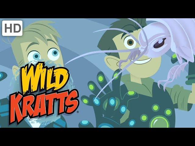 Wild Kratts  Incredible Creatures! (Part 2) | Kids Videos