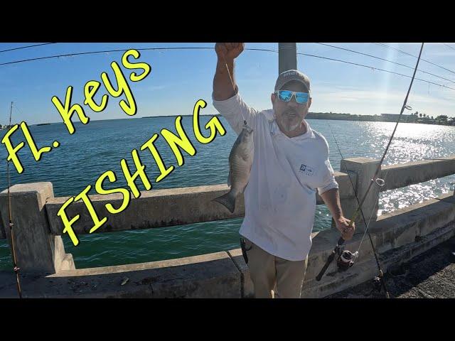 Florida Keys Fishing ~ I'm Back on the Water.