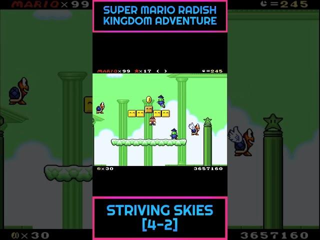 INFINITY LIVES IN SUPER MARIO RADISH KINGDOM ADVENTURE #6