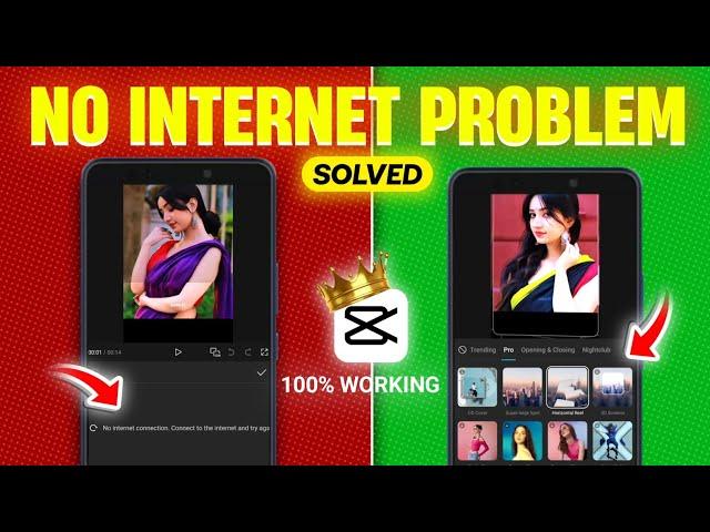 Fix Capcut No Internet Connection Problem Permanently | How To Fix Capcut No Internet Connection