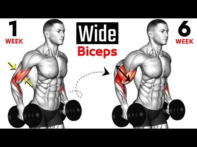 8 BEST Exercises for WIDER BICEPS