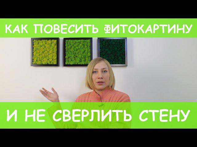 Как повесить фитокартину и не сверлить стену.