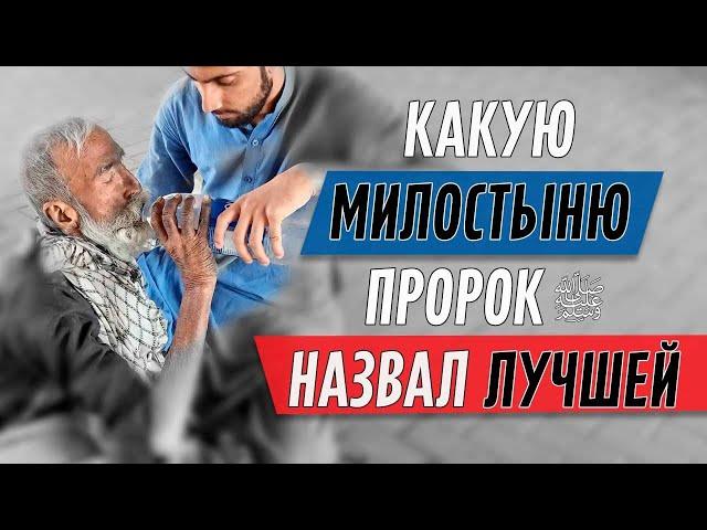 Какая МИЛОСТЫНЯ является наилучшей?