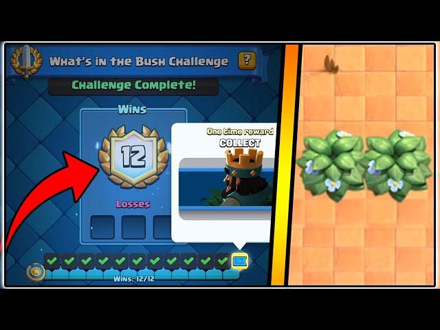 12-0 WHAT'S IN THE BUSH CHALLENGE | CLASH ROYALE | BEST WHAT'S IN THE BUSH CHALLENGE DECK!