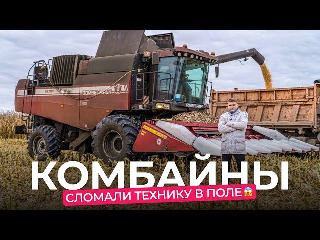 Молотят всё! Сравниваем немецкий комбайн CLAAS и белорусский «Гомсельмаш» в поле.