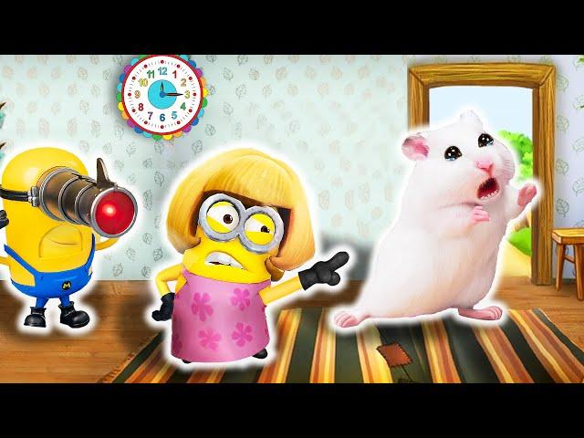 Scolded Hamster! Mother Minion's Wrath And Laser Minion's JoyHAMSTER OBSTACLE COURSEHammyHappyTDC