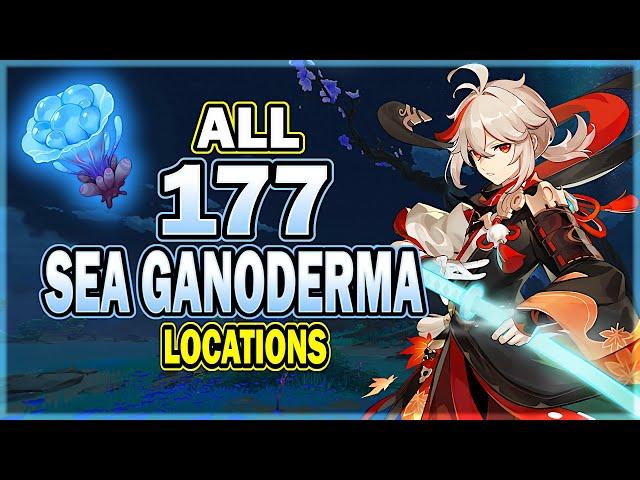 All 177 Sea Ganoderma Locations - Efficient Farming Route - Yae Miko & Kazuha Ascension Material