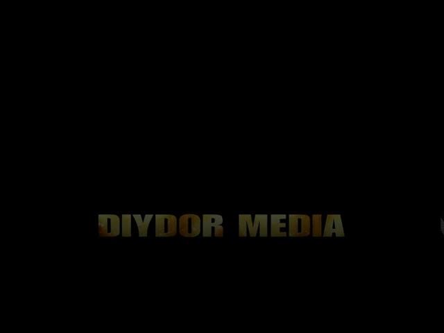 DIYDOR media