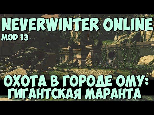 Охота в Городе Ому: Гигантская Маранта | Neverwinter Online | Mod 13