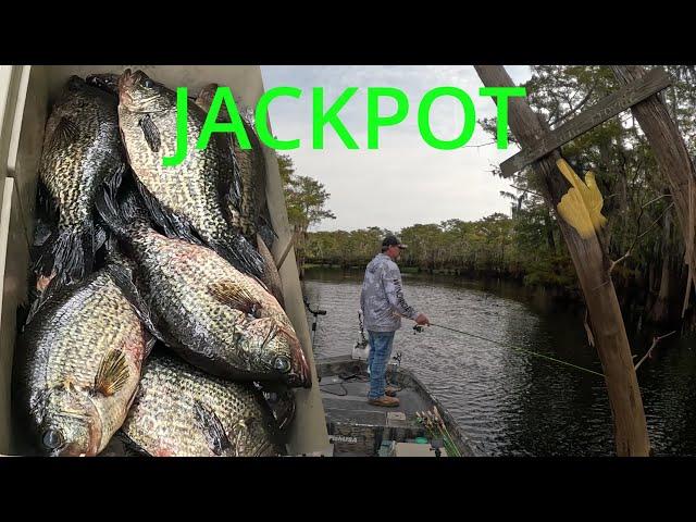 "Catch More Crappie in Tide Water with These 3 Proven Tricks!"