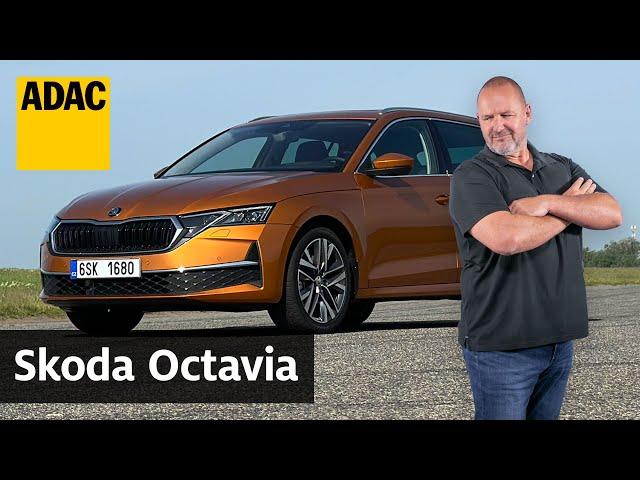 Facelift des Bestsellers: Skoda Octavia Combi (2024) im Fahrbericht | ADAC