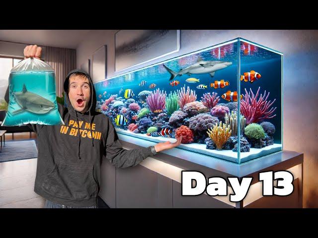 I Built My Dream Reef Aquarium in My Living Room...