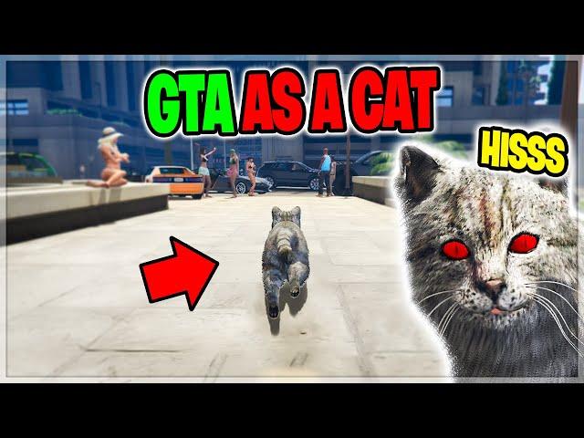 KILLER CAT Takes Over Entire City on GTA 5 RP!!