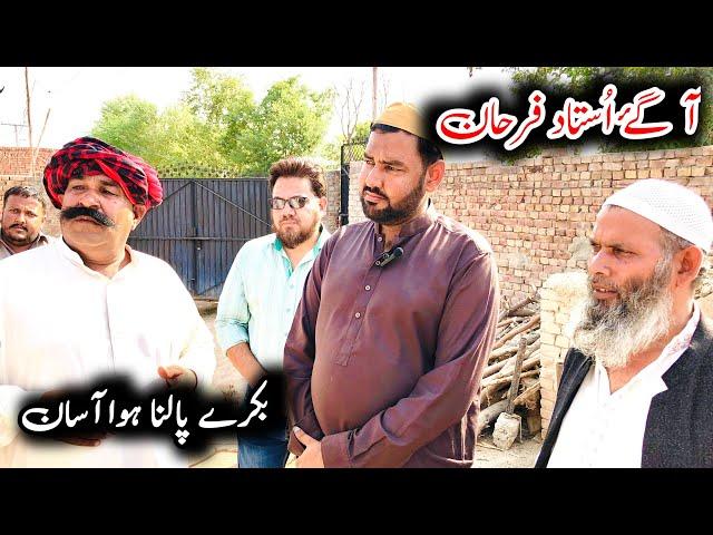 بکروں کو ٹھنڈا کرنے کا طریقہ / ustad farhan gujjar