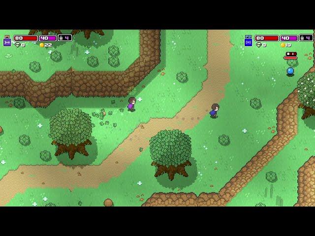 Rogue Heroes: Ruins of Tasos - The Co-op Mode