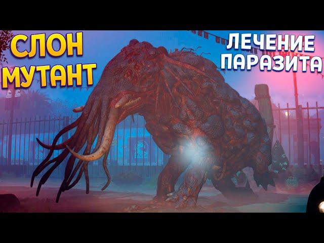 ЛЕЧЕНИЕ СЛОНА С ПАРАЗИТОМ ( Zoochosis )