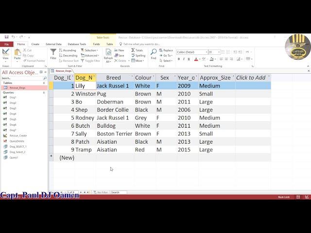 How to Update Records Using SQL in Microsoft Access