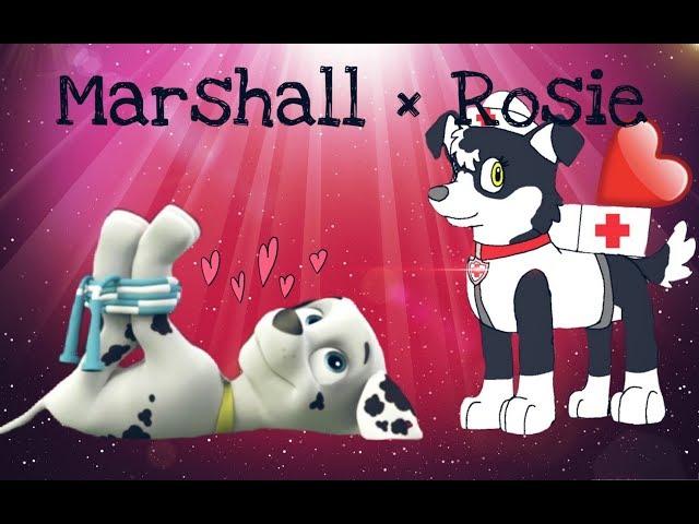 Маршалл и Рози~для канала Chase Paw Patrol/▪Marshall × Rosie▪~ for Chase Paw Patrol channel.