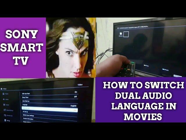 how to switch between dual audio in movies in sony tv