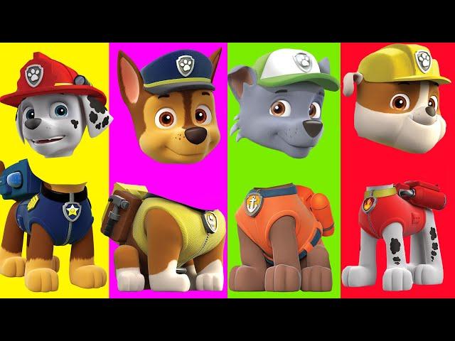 Paw Patrol Coffin Dance Wrong Heads REMIX Astronomia | Patrulla de Cachorros