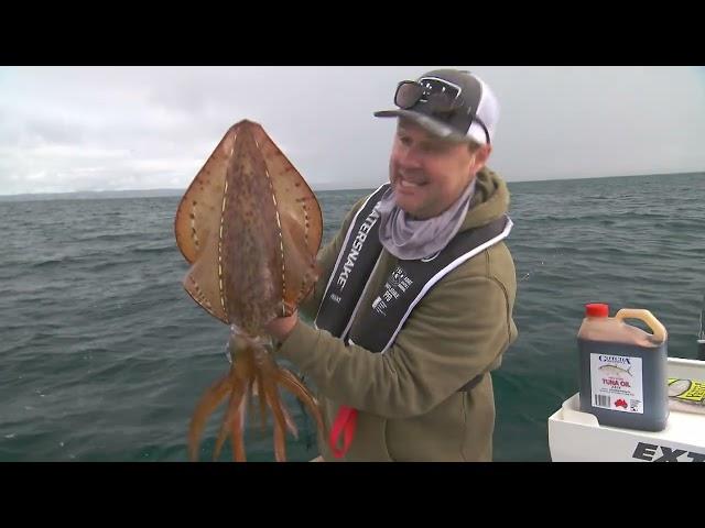 IFISHTV - Hastings Squid & Garfish fishing