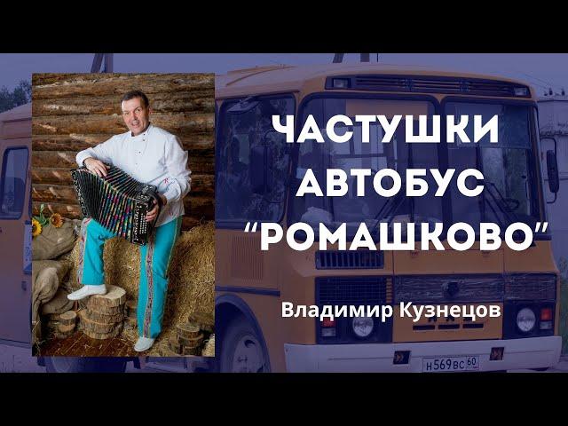 Частушки из автобуса "Ромашково" | Гармонист Владимир Кузнецов. Частушки под гармошку. Музыка.