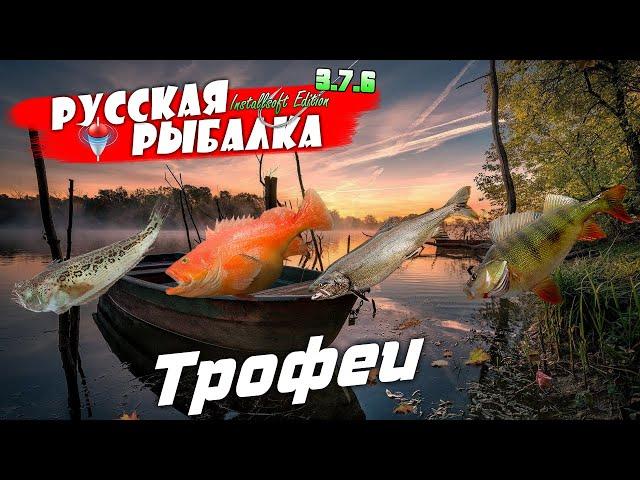 Русская Рыбалка Installsoft Edition 3.7.6 Трофеи #16 Морской дракончик Морской окунь Озёрная форель