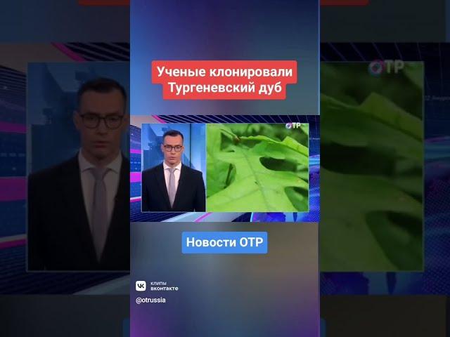 Ученые клонировали Тургеневский дуб