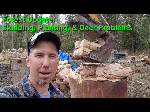 Skidding, Planting, & Deer Challenges on my 50 Acres in Skagit