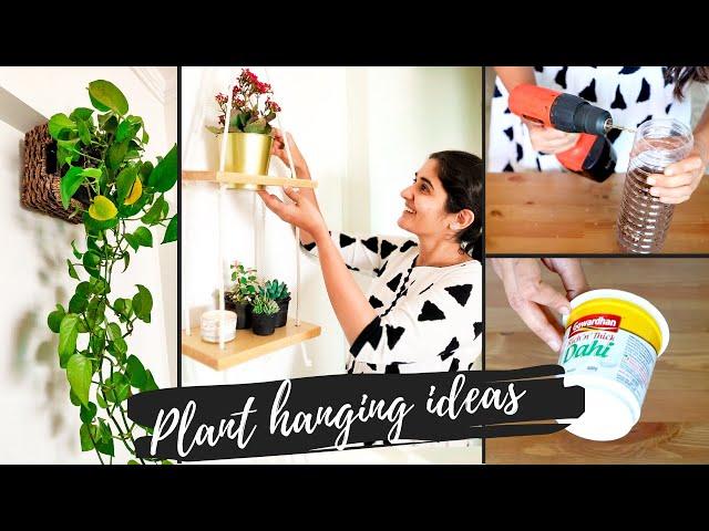 5 Unique Ideas for Hanging Plants Indoors | DIY Elegant and Easy