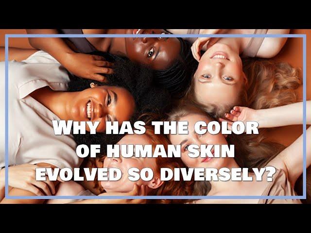 Why has the color of human skin evolved so diversely?