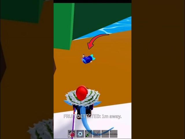 Fruit Spawn Locations! (Blox Fruits) #shorts #bloxfruits